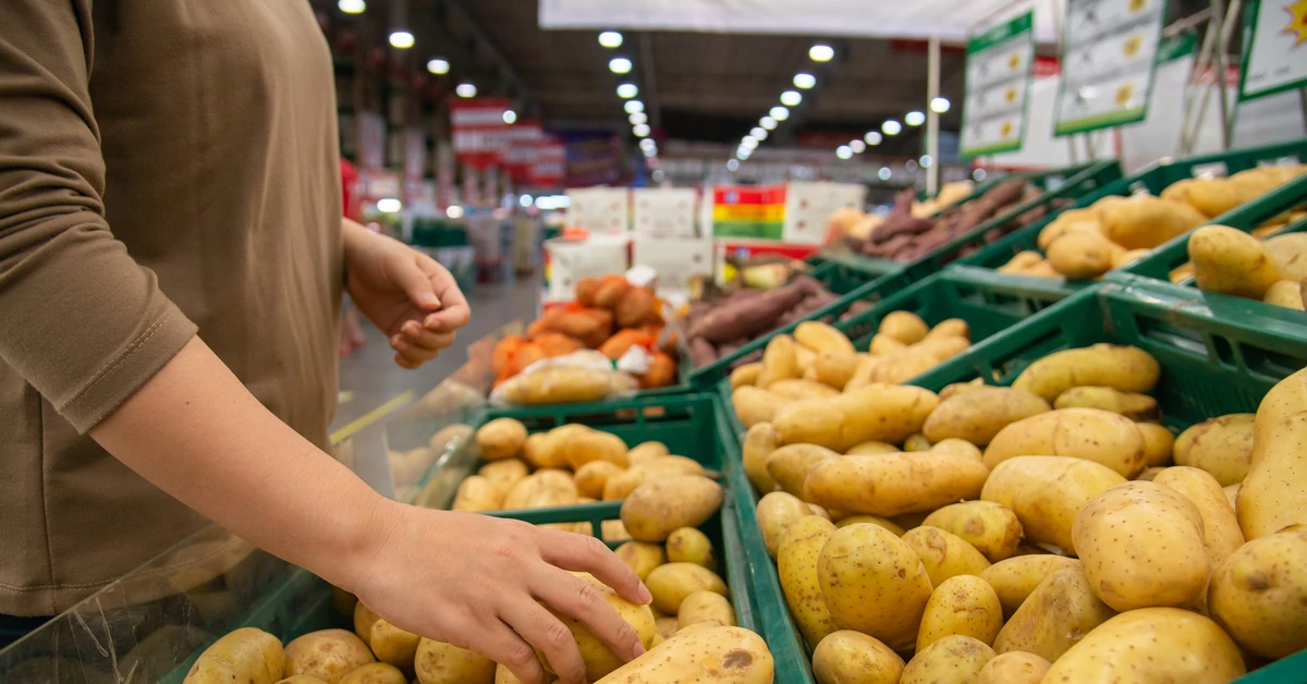 Niedziela handlowa 09.11.2025 roku - handel bez zakazu, zakupy w Lidlu i Biedronce, w galeriach, wszystkie sklepy otwarte czy tylko Żabka?