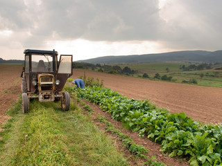 Rolnicy uziemieni na pięć lat. Skarbówka ma profiskalną wykładnię przepisów o obrocie ziemią