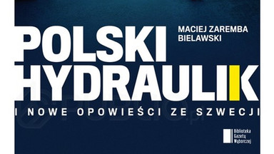 Recenzja: "Polski hydraulik i nowe opowieści ze Szwecji" Maciej Zaremba Bielawski