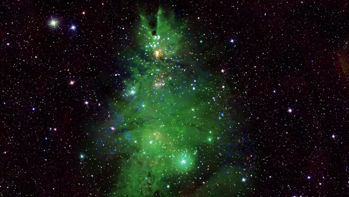 NGC2264