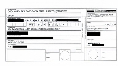 Oszustów przybywa. Prokuratura i sądy nie widzą problemu