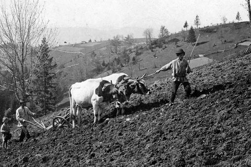 W czasie kryzysu chłopi nie mają żadnych środków na zakup maszyn, nawozów sztucznych, nafty, a nawet mydła. Na zdjęciu Beskid Wschodni