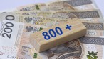 Zmiany w 800 plus. ZUS przesuwa w grudniu terminy wypłaty pieniędzy. Kiedy przelewy trafią teraz do rodziców?