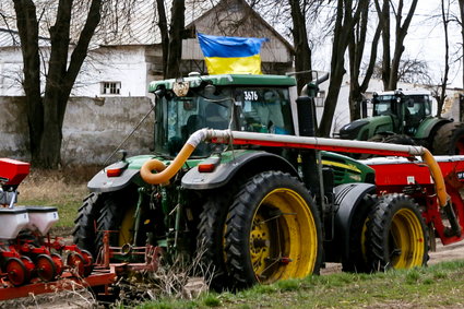 Rosjanie szykują Ukrainie Wielki Głód. Oto, co dzieje się z plonami