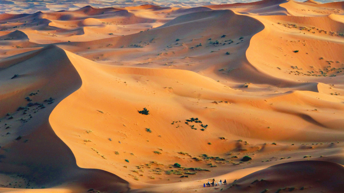 Naukowcy pracują nad sprowadzeniem deszczu nad Saharę