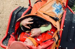 Ten widok rozczuliłby każdego. Pies nie odstąpił właściciela na krok