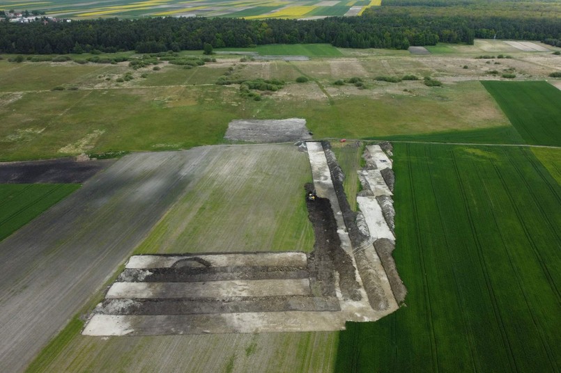 Kości mamuta odkryli archeolodzy w trakcie badań wykopaliskowych w pobliżu Zamościa, gdzie wkrótce rozpocznie się budowa drogi ekspresowej S17