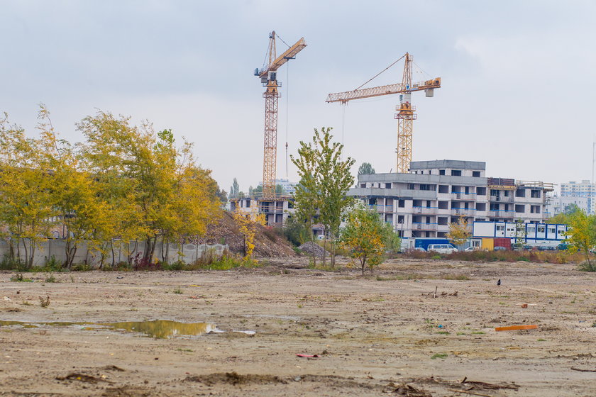 Miasto potrzebuje pieniędzy na Park Rataje