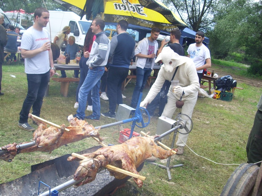 Maskota kraj ražnja