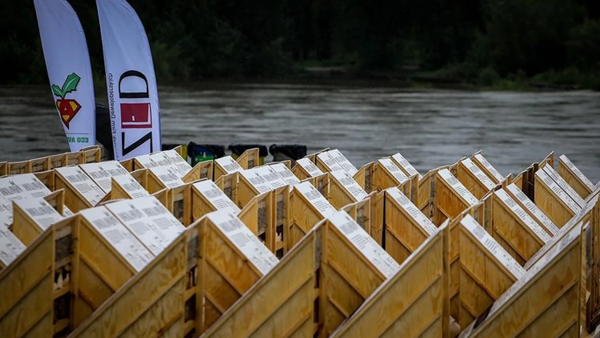 Największy dom dla owadów na świecie stanął w Polsce. To zasługa deweloperów