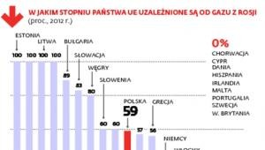 W jakim stopniu państwa UE są uzależnione od gazu z Rosji?