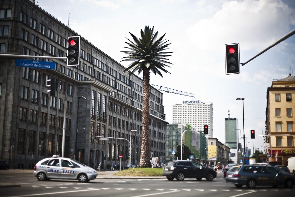 Warszawska palma na Rondzie de Gaulle'a