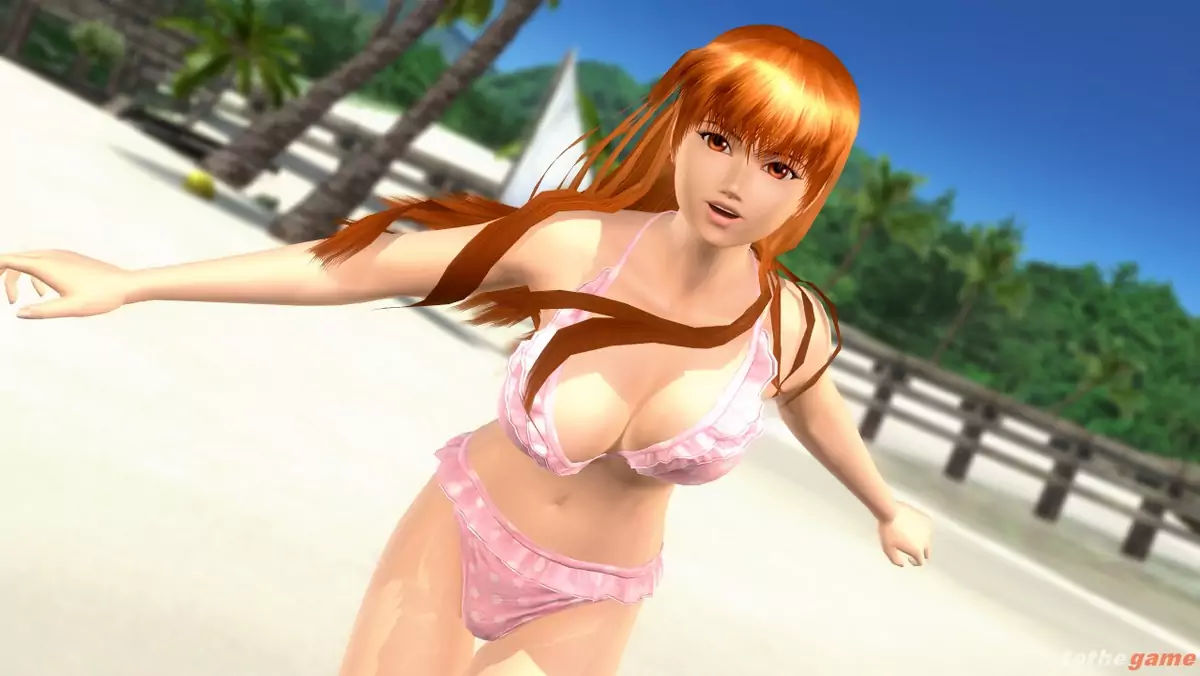 Dead or Alive: Xtreme 2