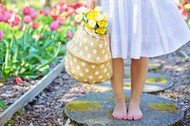 barefoot-basket-blooming-413707