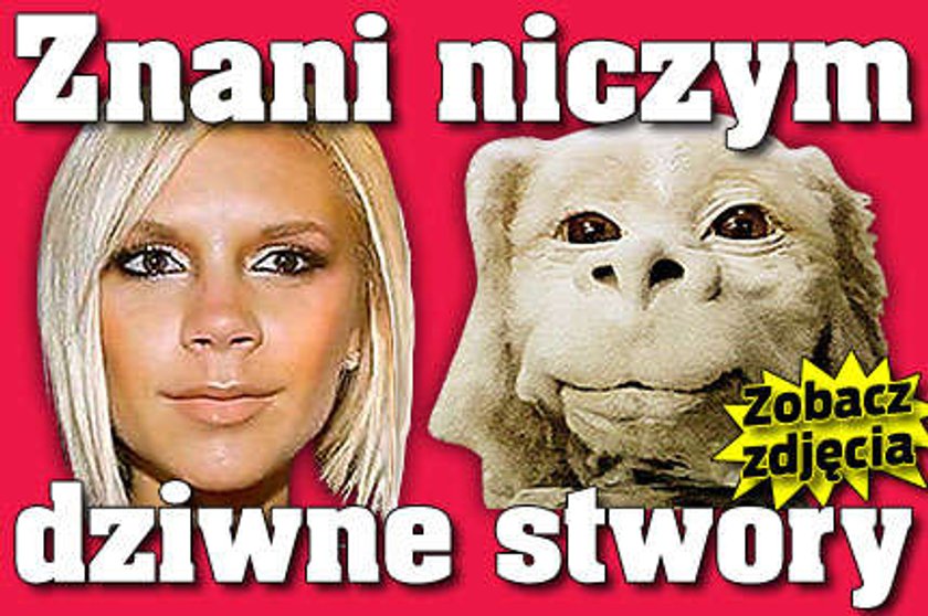 Gwiazdy niczym dziwne stwory