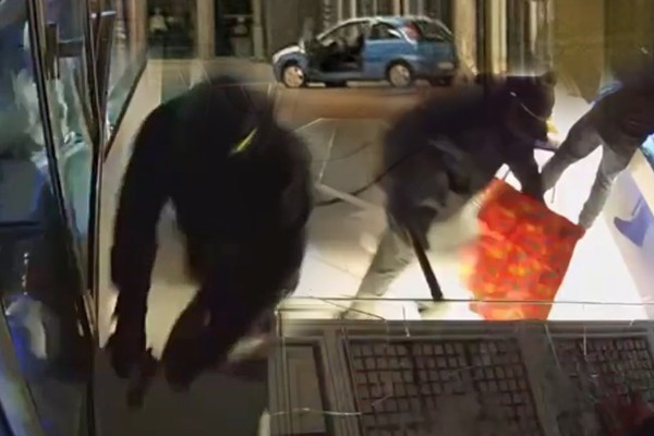 Tamara Vučić prisustvovala je danas otkrivanju spomen ploče Dositeju Obradoviću