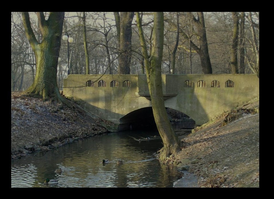 kasia lalala - Zima Park Sołacki Poznań