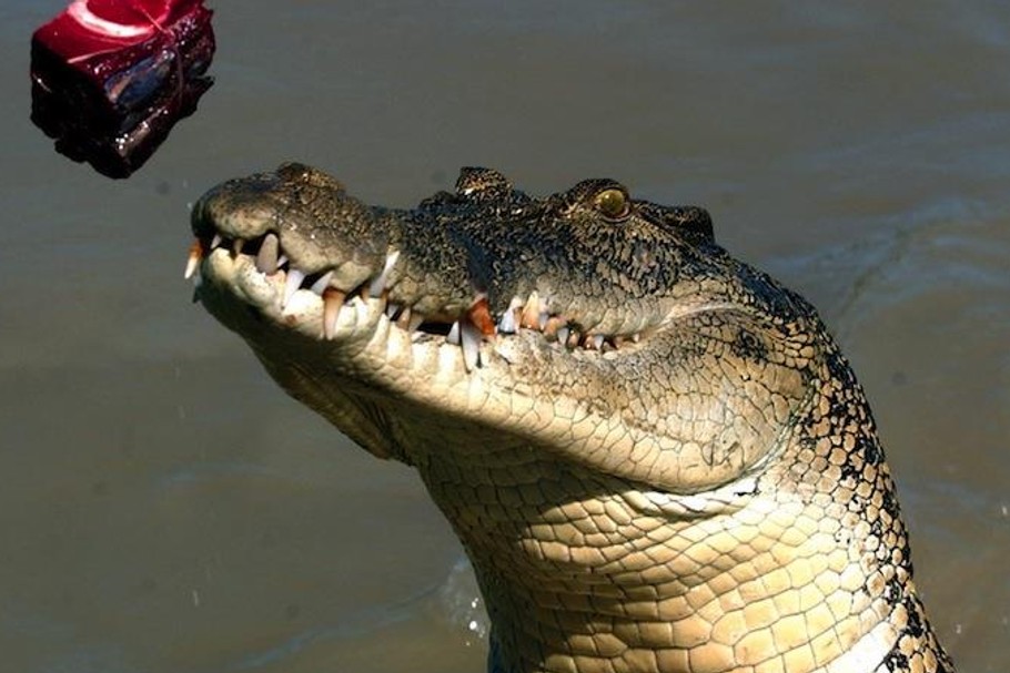 Kakadu, Australia