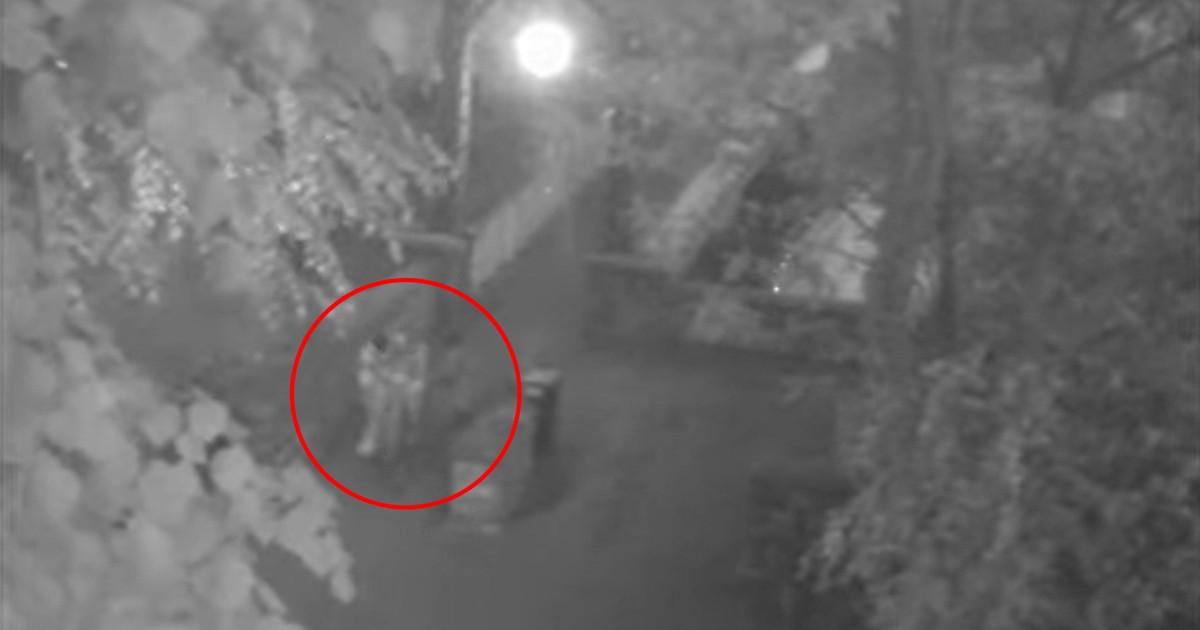 Zaciągnęli przerażoną 15-latkę do parku. "Zamierzacie mnie zgwałcić". Wypłynęło straszne nagranie