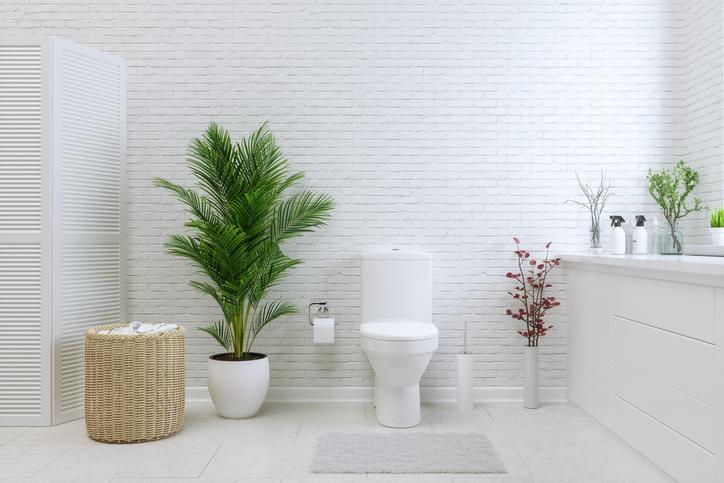 Takarítás a fürdőszobában, a vécékefe sem maradhat ki! / illusztráció: Getty Images