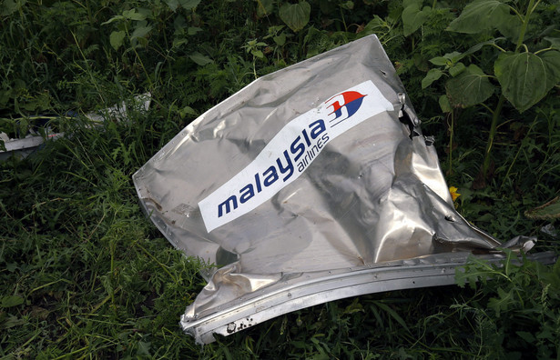 Miejsce katastrofy samolotu Malaysia Airlines MH17 trzy dni po tragedii. WIDEO