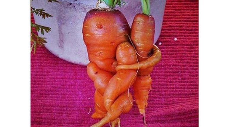 Carrot couple