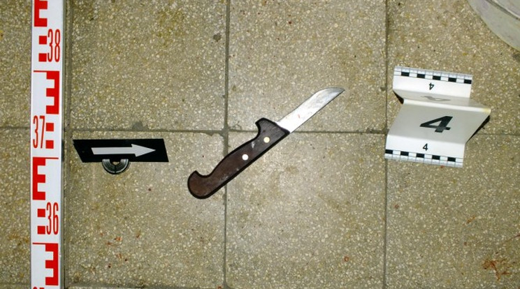 Megtámadta a késsel a lakótársát / Foto: police.hu