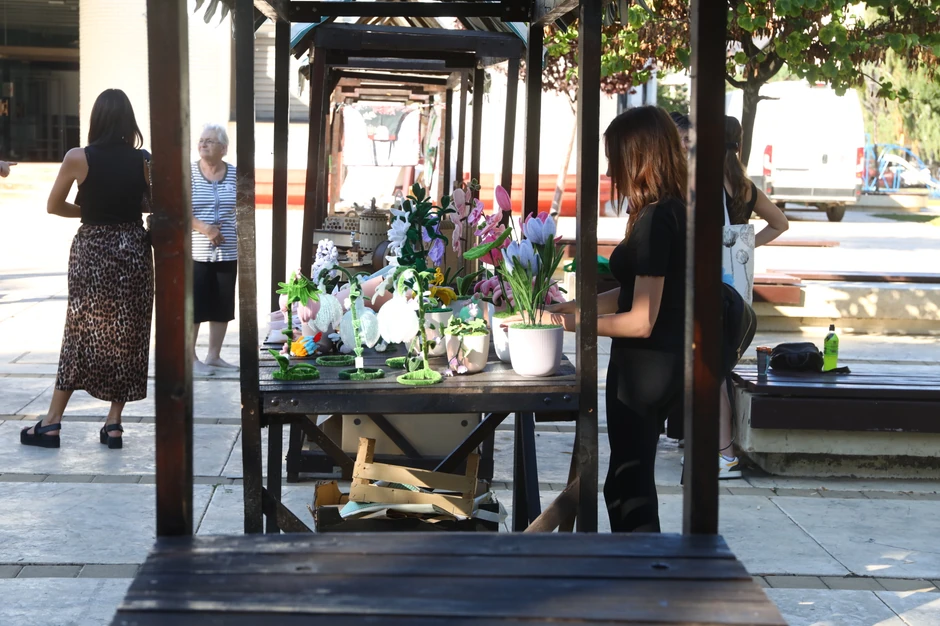 Knjaževac Expo karavan