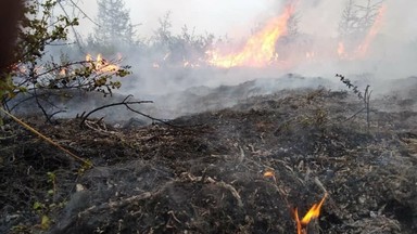 Na Syberii padł rekord temperatur dla czerwca. "Wołanie ostrzegawcze"