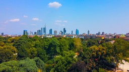 Program drzewa plus, inwestycje minus. Unia chce zazielenić miasta