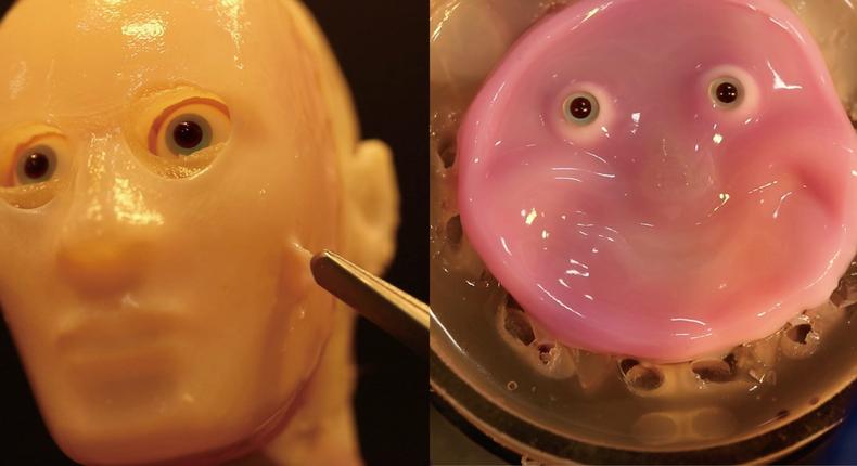 Researchers created a 3D facial mold and 2D skin robot covered with lab-grown living skin.The University of Tokyo