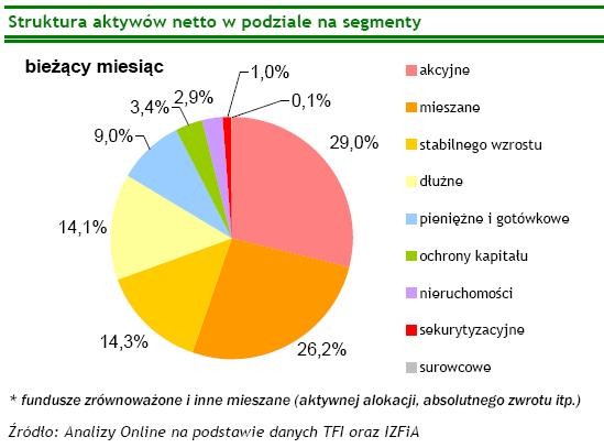 Struktura aktywów netto w podziale na segmenty