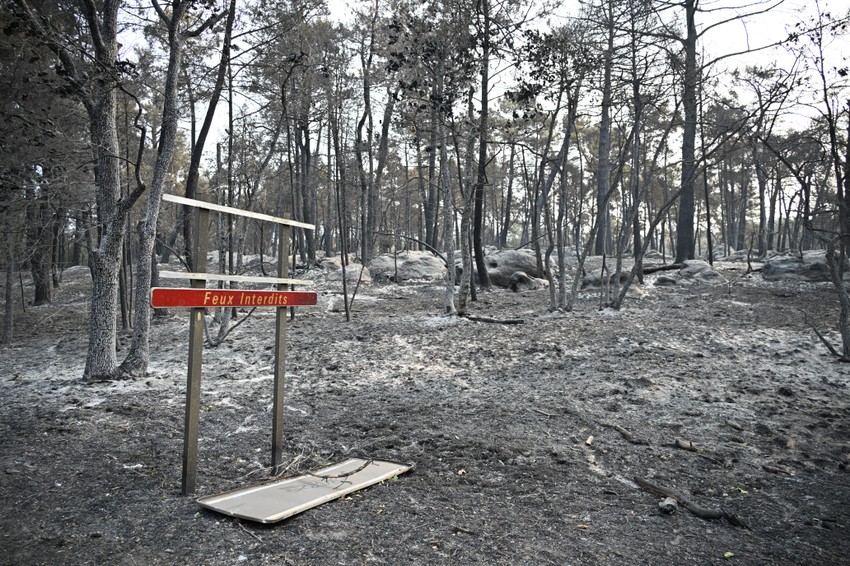 Požar u šumi Fontenblo, 14. jula