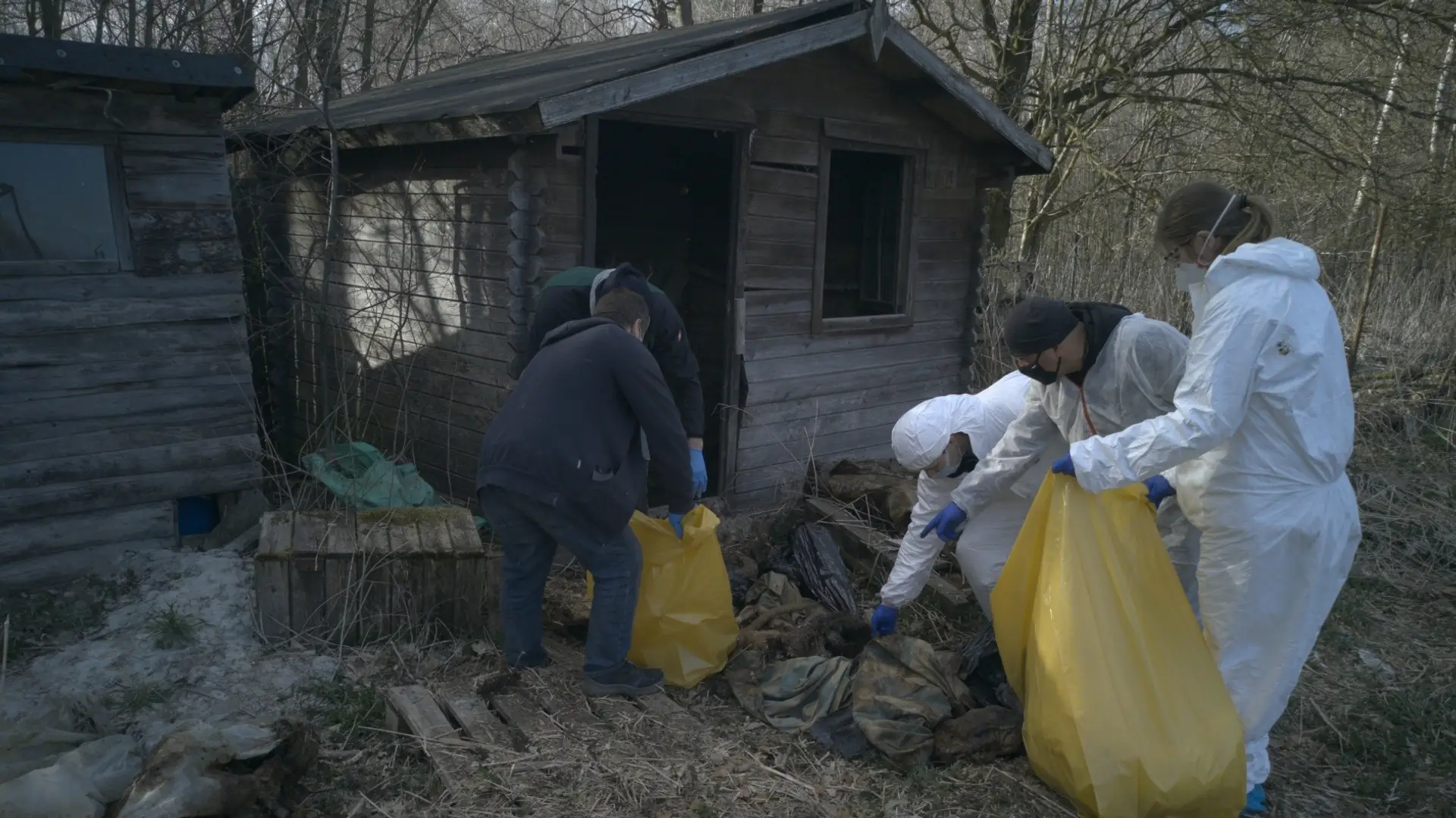 Rekordowa kara dla pseudohodowców ze Starej Huty. Na ich terenie znaleziono zwłoki 249 zwierząt