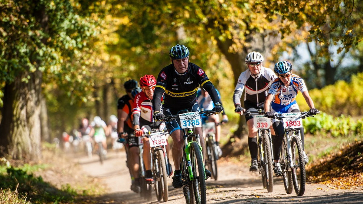 Czesław Lang często podkreśla, że maratony rowerowe Skandia popularyzują kolarstwo. Jak to wygląda w praktyce? Za przykład może służyć grupa kolarska Cyklo Kwidzyn i inne drużyny założone w tym mieście. Kolarstwo MTB trenuje tutaj już około sto osób.