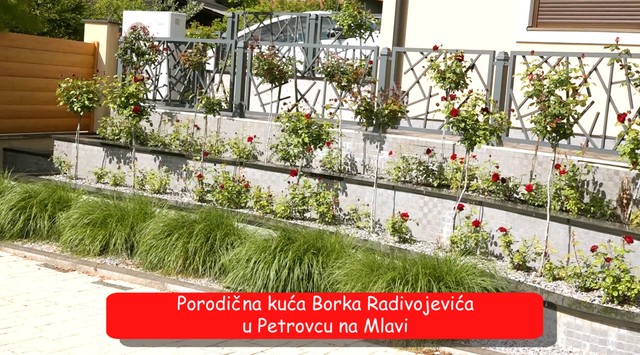 Borko Radivojević, kuća, emisija "Metar moga sela"