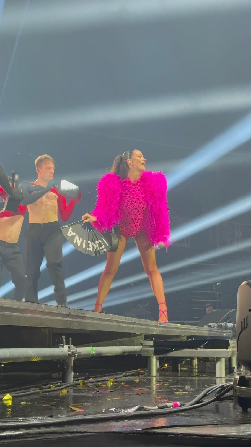 Koncert Milice Pavlović u Areni Zagreb