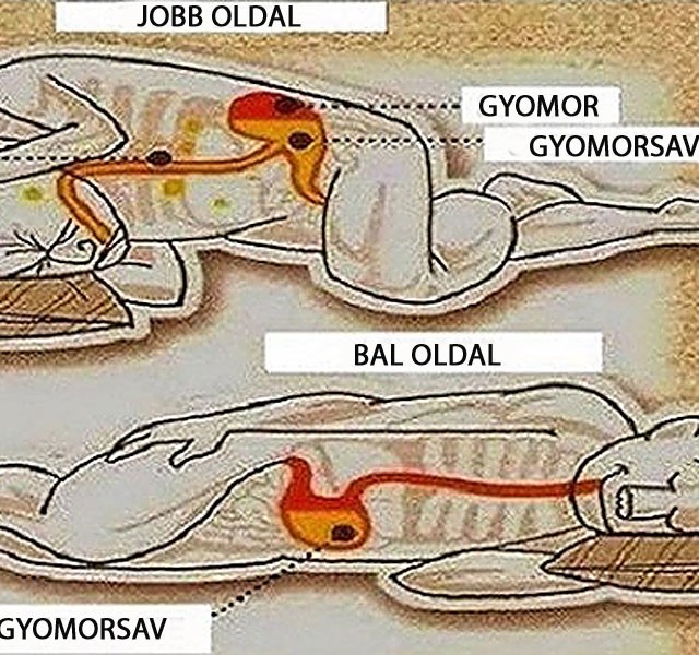 Fogyás tea