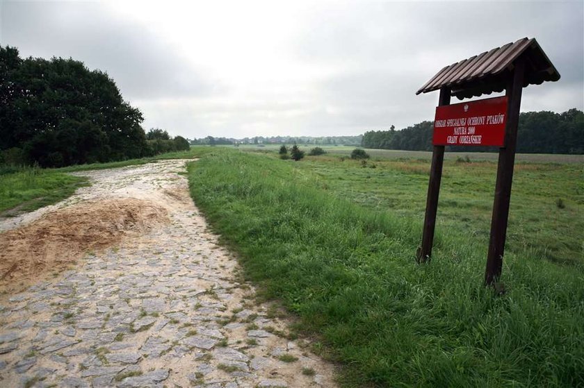 Policja poszukuje gwałciciela