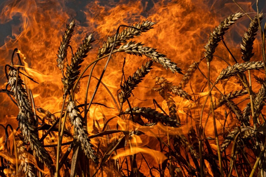 Pšenično polje gori nakon ruskog granatiranja nekoliko kilometara od ukrajinsko-ruske granice u oblasti Harkov, Ukrajina, petak, 29. jul 2022.