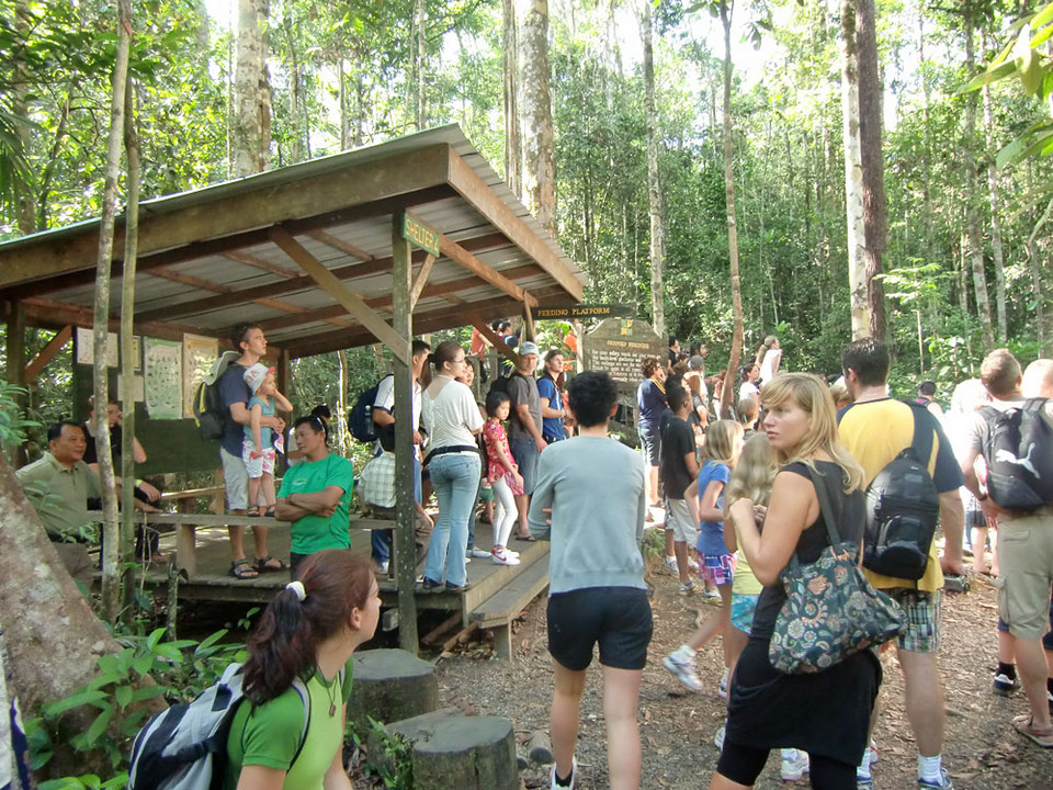 Borneo, Semenggoh Wildlife Centre