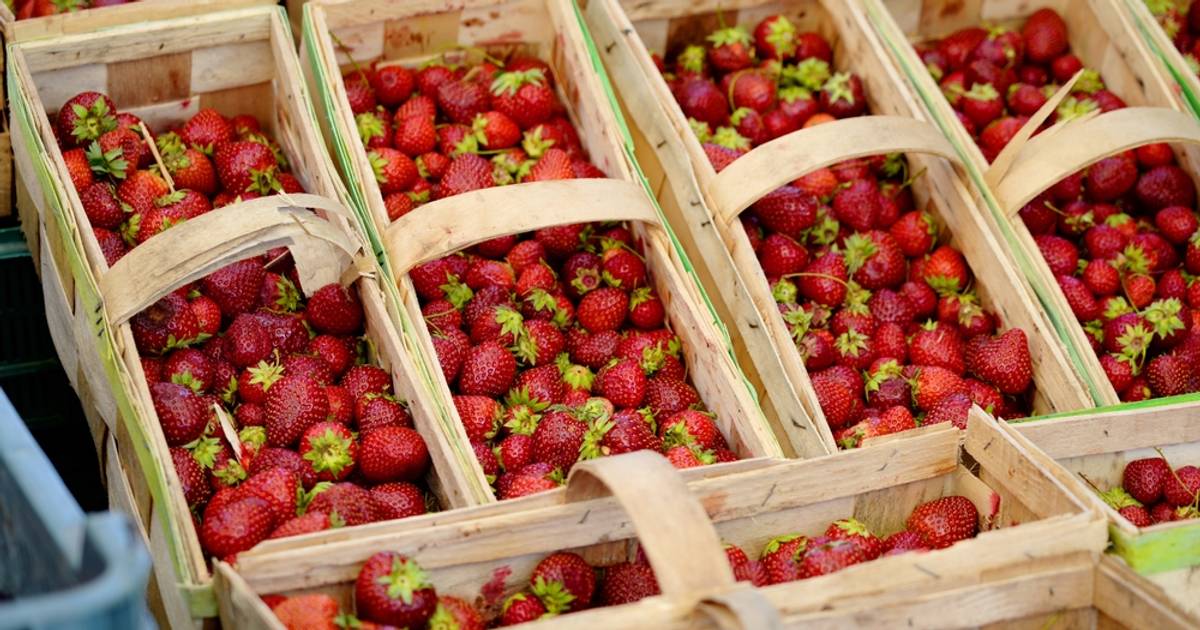 Kiedy kupować truskawki? Sprzedawcy mówią wprost: wcale nie rano