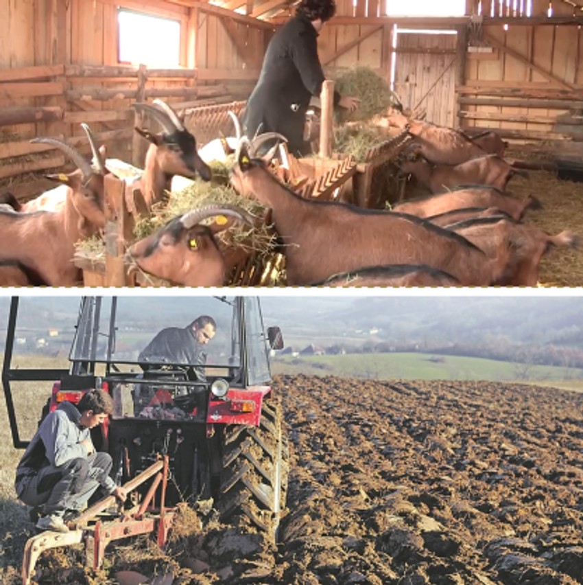 Nenad Jezdić i Branko Janković imaju imanja koja obožavaju