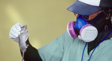 Despite Lassa fever warning, some Enugu residents continue to drink garri