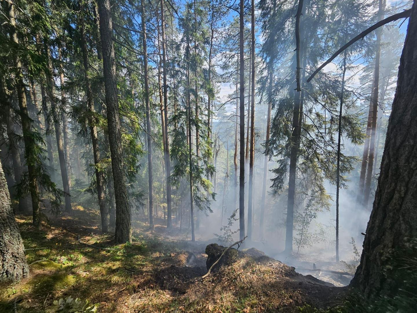 Hasiči zasahovali pri lesnom požiari pod vrchom Kimberk neďaleko Štrby.