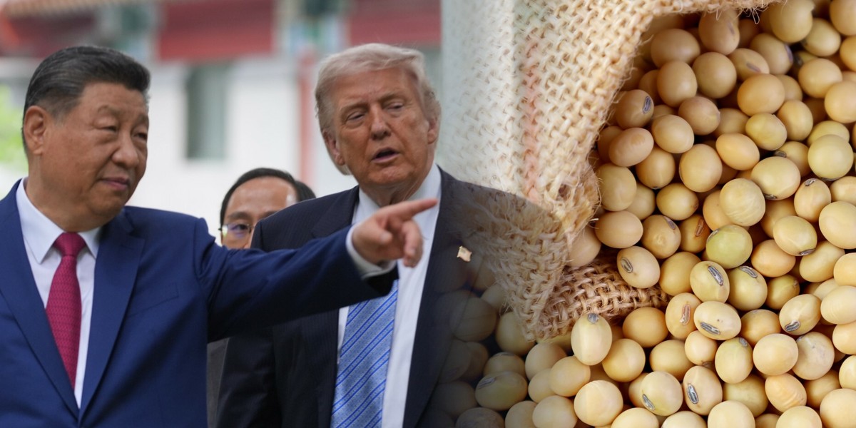 Sudden surge in US soybean purchases by Chinese state-owned companies