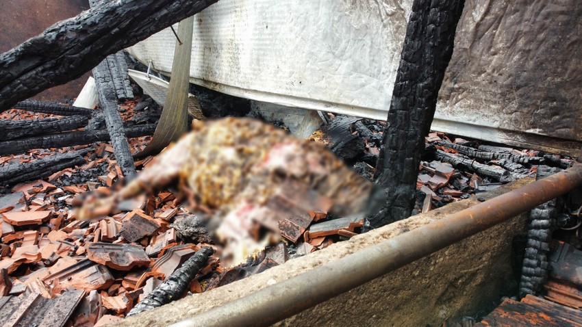 Potresne slike požara