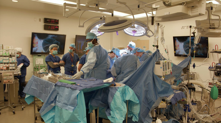 A test lehűtése után két órája van az orvosoknak, hogy elvégezzék a műtétet (képünk illusztráció) Fotó: Profimedia-Reddot