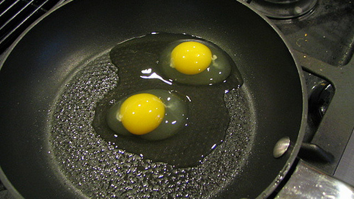 Naukowcy twierdzą, że zapytania o to, co było pierwsze: jajko czy kura, można już nie uważać za pytanie retoryczne.