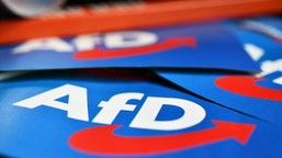 sąd w kolonii blokuje decyzję ws. afd